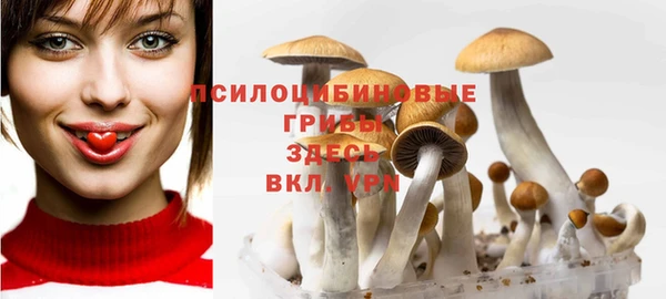дмт Гусиноозёрск