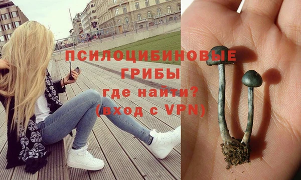дмт Гусиноозёрск
